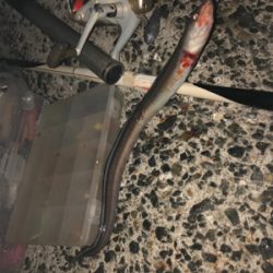 初めて行きました