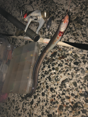 初めて行きました