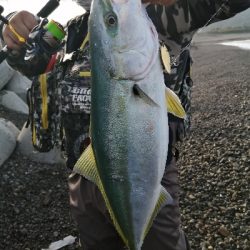 マイクロブレードにガツン！