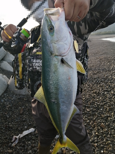 マイクロブレードにガツン！