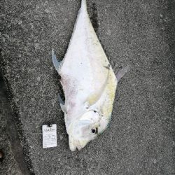 この大きさの馬面久しぶりに見た(笑)