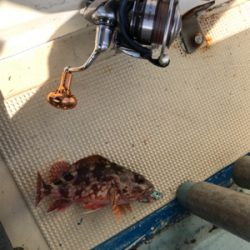 スーパーライトジギング