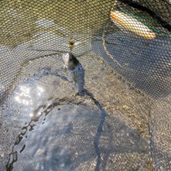 黒保根渓流フィッシング