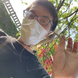 荒川　テナガエビ