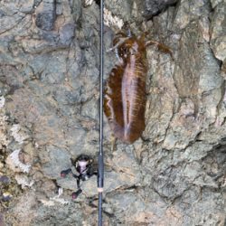 日本海の荒波を乗り越えて