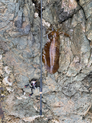 日本海の荒波を乗り越えて