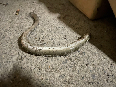 ちょっと早めのウサギ釣り