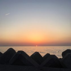 サンセット釣行❗️