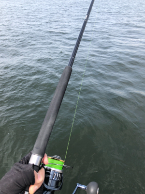 狙いとは違った珍客