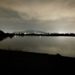 今年初のまともなシーバス