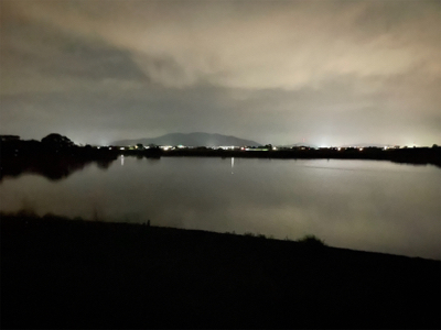 今年初のまともなシーバス