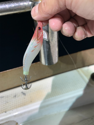 イカメタル 京丹後