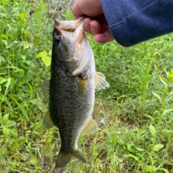 こんなにおるのに