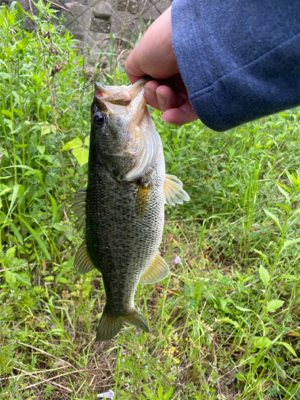 こんなにおるのに