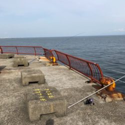 久しぶりの海釣り公園に来ました。