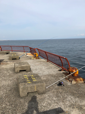久しぶりの海釣り公園に来ました。