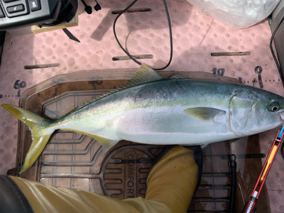 マイボートで大物ゲット!自己新記録!