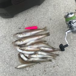 ちょーーい投げ