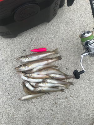 ちょーーい投げ