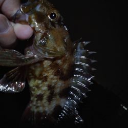 雨が、降る前に…