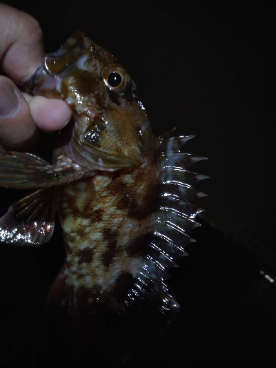 雨が、降る前に…