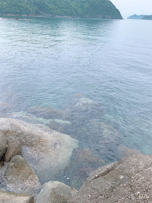 ロックフィッシュ