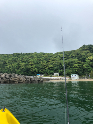 ベラは難しい？