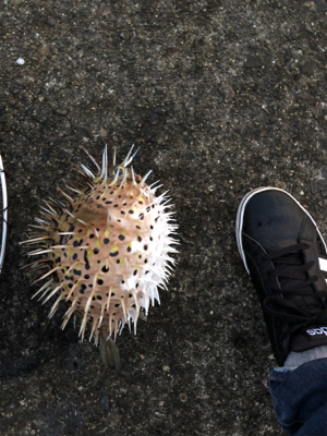 雨の止みまに。