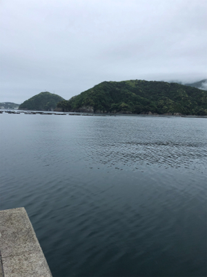 今年初エギング