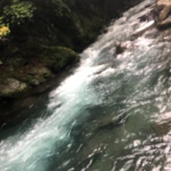 渓流