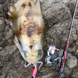 自分的に大漁(*゚∀゚*)