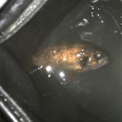 雨が降る前に(^^)