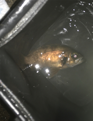 雨が降る前に(^^)