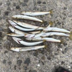 佐賀関ランガン