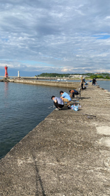 キス、五目釣り、