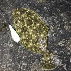 サーフメバリング