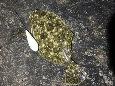 サーフメバリング