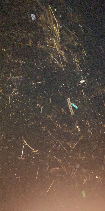 アジング練習 299