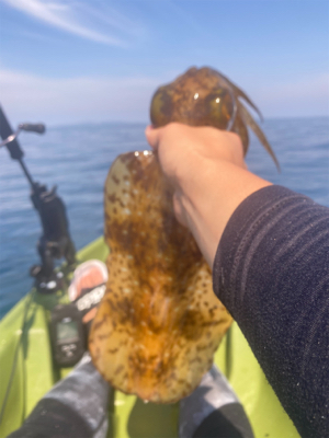 カヤックフィッシングにて！鷹島