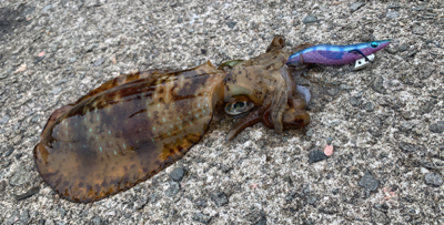 いきなりの大荒れ