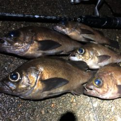 スーパームーンメバリング