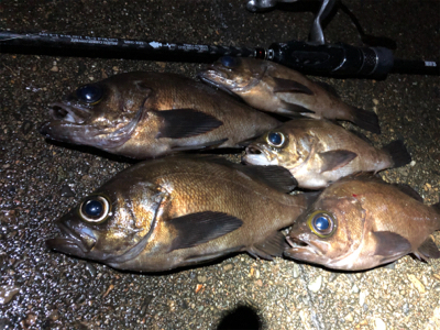 スーパームーンメバリング