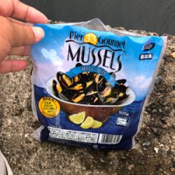 コブダイのカブセ釣り