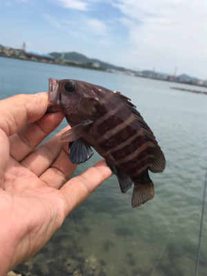 ちょい投げ自己記録!!