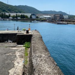 キス、五目釣り