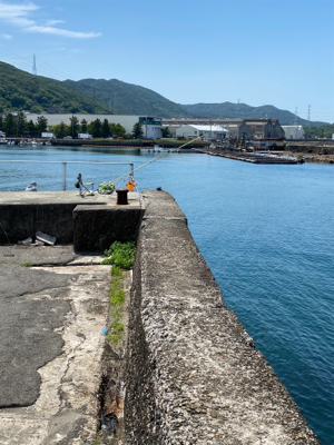 キス、五目釣り