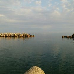 ワームでカサゴ2匹！