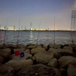 夕方のぶっ込み釣り