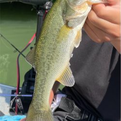 管理人のおじさん曰く厳しい1日