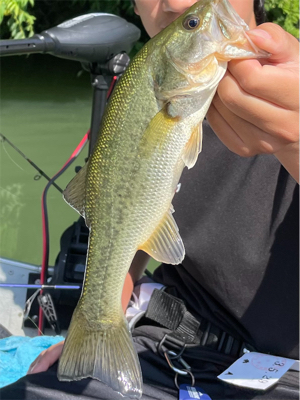 管理人のおじさん曰く厳しい1日